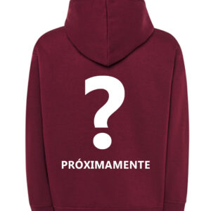 Sudadera ShenronZ x Ultimate Fusion